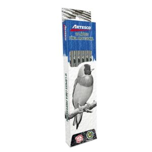 Lápiz 3B Técnico Artesco Sin Borrador Caja X 12 Und