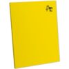 Cuaderno Deluxe A-4 80H Triple Raya Especial 70Gr Loro