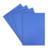 Microporoso A4 Azul X 10 Und