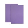 Microporoso A4 Lila X 10 Und