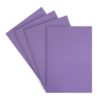 Microporoso A4 Lila X 10 Und