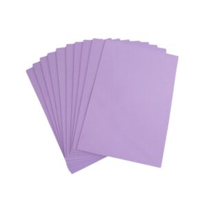 Microporoso A4 Morado X 10 Und