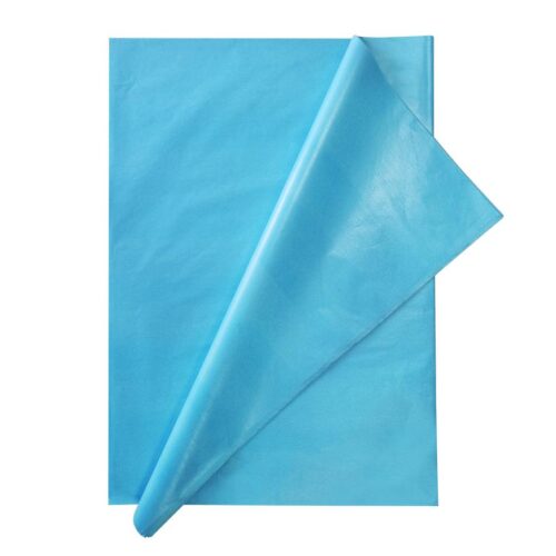 Papel Seda Celeste Cuadernillo X 24 Und Papel Seda Celeste Cuadernillo X 24 Und