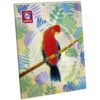 Cuaderno Escolar Chico 80H Rayado Diseño Surco Cuaderno Escolar Chico 80H Rayado Diseño Surco