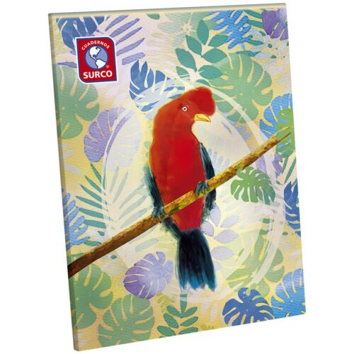 Cuaderno Escolar Chico 80H Rayado Diseño Surco Cuaderno Escolar Chico 80H Rayado Diseño Surco