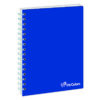 Cuaderno Cuadriculado Anillado Iris Color A4 Surtido 100 Hojas