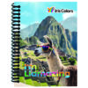 Libreta Cuadriculada Anillada Iris Color Surtido 140 Hojas