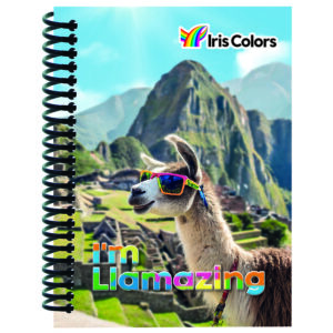 Libreta Cuadriculada Anillada Iris Color Surtido 140 Hojas