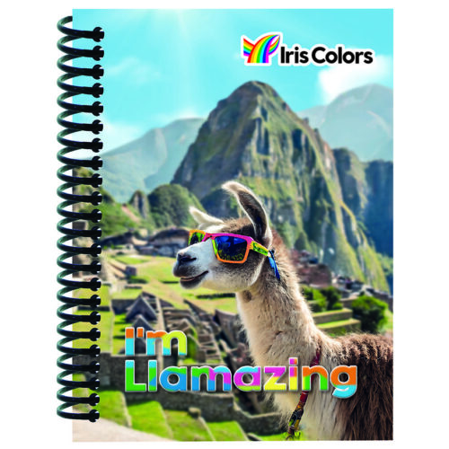 Libreta Cuadriculada Anillada Iris Color Surtido 140 Hojas